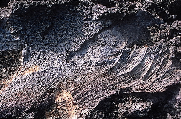 LavakrokoLanza