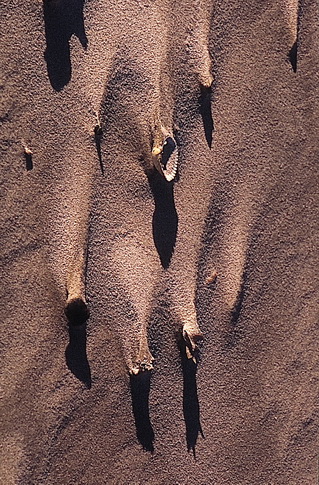 Strandkometen1